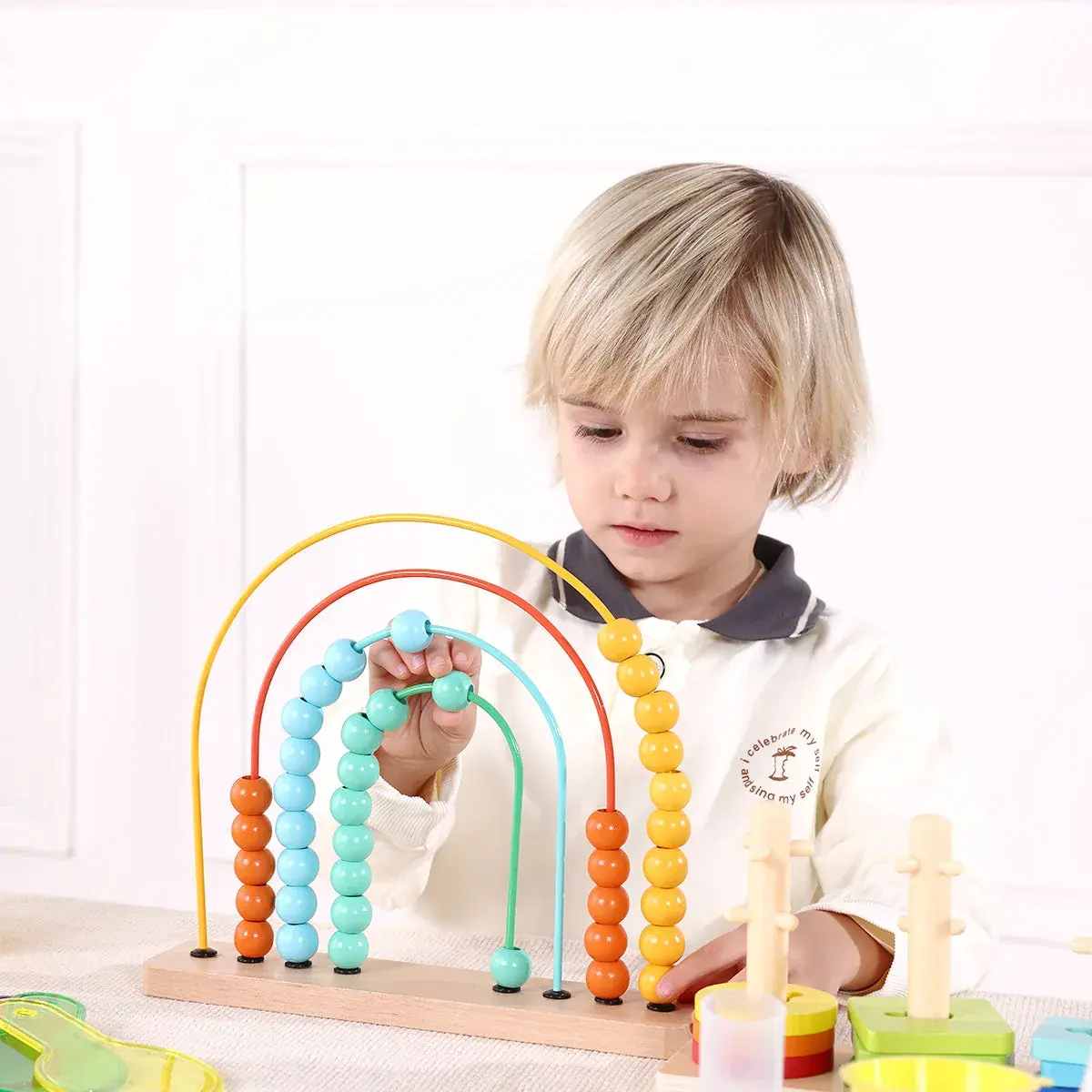 Attività di conteggio della Tooky Toy Educational Box 25-36 mesi TK754